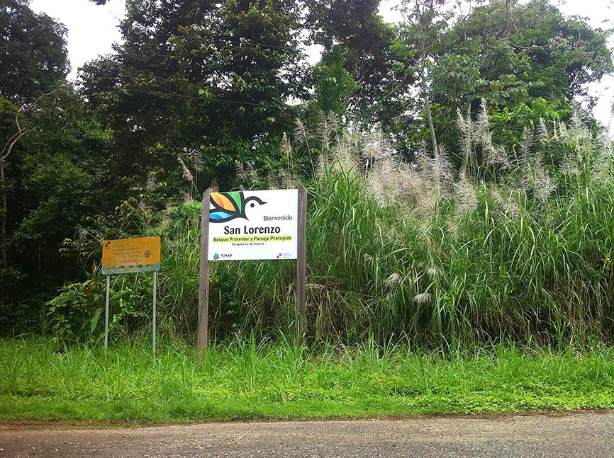 1800474_10152807567255619_575539169546410576_n